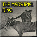 go to the Marsupial Ring's home page
