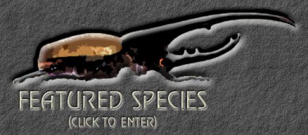 click to go to the species selection page